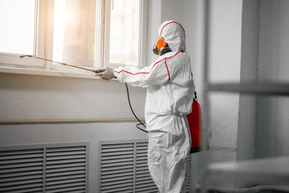 Professional mold remediation services in Big Prairie, OH